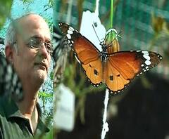 Butterfly Garden | पुण्यातील प्राध्यापकाची गच्चीवर फुलपाखरांची बाग,डॉ.अंकुर पटवर्धन यांच्याशी बातचीत
