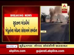 સુરતના માંડવીમાં ખેડૂતોના બંધના એલાનને સમર્થન, દુકાનદારોએ બજારો સ્વયંભૂ બંધ રાખી