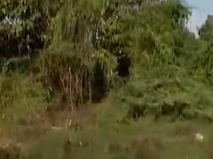 અરવલ્લીમાં દીપડાનો આતંક, દીપડાને પકડવા માટે સર્ચ ઓપરેશન, જુઓ વીડિયો