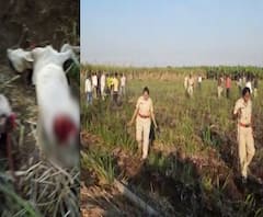 नरभक्षक बिबट्या अजनही मोकाट; बिबट्याला मारण्यासाठी बारामतीचे नेमबाज हर्षवर्धन तावरे सोलापुरात