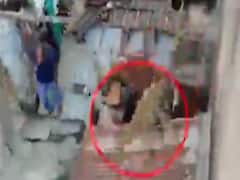  રાજકોટના ગોંડલના બંધ મકાનમાં દીપડો ઘૂસ્યો, જુઓ વન વિભાગનું રેસ્ક્યૂ ઓપરેશન 