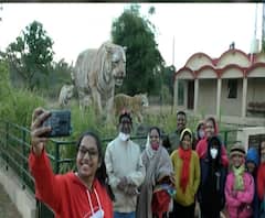 पर्यटकांनी बहरलं ताडोबा... लागोपाठच्या सुट्ट्यांमुळे पर्यटकांची गर्दी
