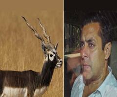 ফিল্মস্টার: কৃষ্ণসার হত্যা মামলায় আদালতে সলমন খানের হাজিরা ১৬ জানুয়ারি, ফের ‘গোলন্দাজ’-এর শ্যুটিংয়ে দেব, গ্র্যামির দৌড়ে অনুষ্কা শঙ্কর