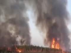 तेदुए के आतंक से परेशान महाराष्ट्र का सोलापुर | Sansani