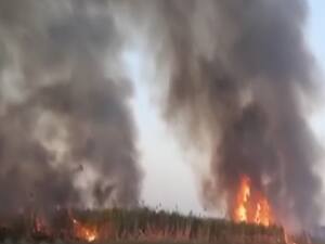 तेदुए के आतंक से परेशान महाराष्ट्र का सोलापुर | Sansani