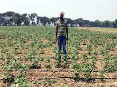 Sitapur farmers helpless as govt irrigation system rusts away | Ghanti Bajao