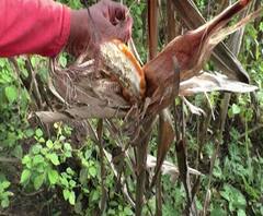 Rural News | माझं गाव माझा जिल्हा | राज्याच्या कानाकोपऱ्यातील बातम्यांचा आढावा | 14 डिसेंबर 2020