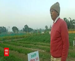 खुद की ही नहीं दूसरों की भी जिंदगी बदल रहा है ये किसान ! Barabanki | Satte Pe Satta 