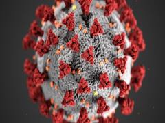 Why is new variant of Coronavirus more dangerous?