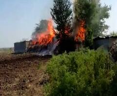 Solapur | उंदरानं वात पळवल्याने घराला आग, करमाळ्यातील मिरगव्हाण गावातील घटना