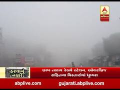 દાહોદમાં ગાઢ ધુમ્મસ છવાતા હિલ સ્ટેશન જેવો માહોલ સર્જાયો, જુઓ વીડિયો 