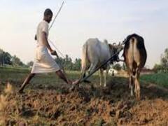 Farmers protest may turn violent in coming days: Sources 