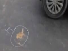 दिल्ली से गिरफ्तार आतंकियों पर बड़ा खुलासा, 5 में से 2 आतंकी हैं बलविंदर संधु के हत्यारे