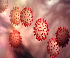 उत्तराखंड में बड़ा फर्जीवाड़ा, एक हजार रुपये में मिल रही कोरोना की फर्जी रिपोर्ट | Covid 19 