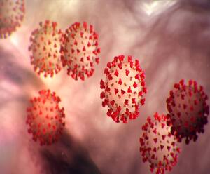 उत्तराखंड में बड़ा फर्जीवाड़ा, एक हजार रुपये में मिल रही कोरोना की फर्जी रिपोर्ट | Covid 19 