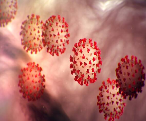 उत्तराखंड में बड़ा फर्जीवाड़ा, एक हजार रुपये में मिल रही कोरोना की फर्जी रिपोर्ट | Covid 19 