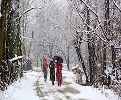 नए साल से पहले बर्फबारी ने सैलानियों का मोहा मन, आप भी देखें खूबसूरत नजारे | Uttarakhand Prime 