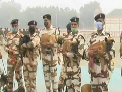 ITBP ने 17 Dogs को K9 विंग में किया शामिल, किसी का 'गलवान' तो किसी का 'सुल्तान' रखा नाम
