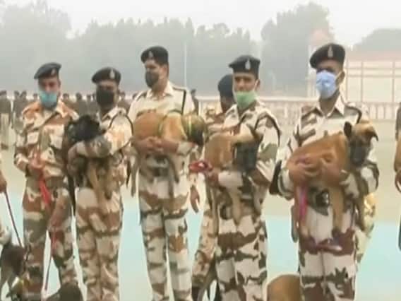 ITBP ने 17 Dogs को K9 विंग में किया शामिल, किसी का 'गलवान' तो किसी का 'सुल्तान' रखा नाम
