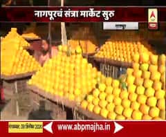 Bharat Bandh | नागपूरच्या संत्रा मार्केटमध्ये व्यवहार सुरु; विक्री आणि ग्राहक कमी