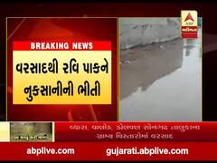 તાપીના વ્યારા, ડોલવણ, સોનગઢ તાલુકાના ગ્રામ્ય વિસ્તારોમાં વરસાદ, જુઓ વીડિયો 