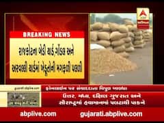 ગાંધીનગરઃ રાજ્યમાં કમોસમી વરસાદના કારણે ટેકાના ભાવે મગફળીની ખરીદી કેટલા દિવસ માટે કરાઇ બંધ?