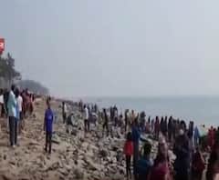 New Year Celebration in Districts: আতশবাজি প্রদর্শনীর মধ্যে দিয়ে নতুন বছরকে স্বাগত জানাবে সৈকত শহর দিঘা