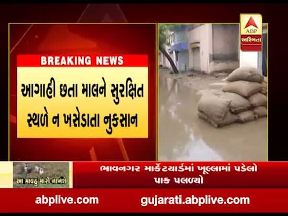 ભાવનગર માર્કેટયાર્ડમાં ખુલ્લામાં પડેલો પાક પલળ્યો, જુઓ વીડિયો 