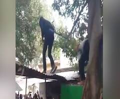 जब पेड़ से होने लगी नोटों की बारिश! | Sitapur| UP News | abp Ganga 