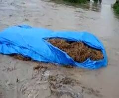 Osmanabad | पीक विम्यासाठी शेतकऱ्यांसमोर जाचक अटी का? उस्मानाबादेत 12000 शेतकरी विम्यापासून वंचित