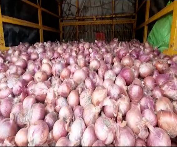 Onion Rate | कांद्याचे भाव गडगडले, शेतकरी हवालदिल; आवक वाढल्याने कांद्याच्या बाजारभावात घसरण