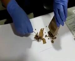 Drugs worth 3 crore seized | मुंबईत 3 कोटींचे ड्रग्ज जप्त, खोट्या केसांमधून ड्रग्जची तस्करी उघड