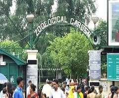 Alipore Zoo: কর্মী নিয়োগ নিয়ে বিক্ষোভের জেরে গেটে তালা, বন্ধ আলিপুর চিড়িয়াখানা