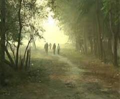 Weather News: কলকাতায় এখনই হাড় কাঁপানো শীত নয়, পূর্বাভাস আলিপুরের 