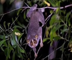 Rural News | गावागावातील बातम्यांचा वेगवान आढावा, तुमच्या गावात काय घडलं? माझं गाव माझा जिल्हा