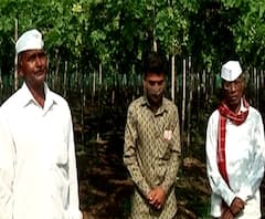 Farmer Loss | नाशिकमध्ये व्यापाऱ्यांकडून शेतकऱ्यांची 44 कोटी 47 लाखांची फसवणूक, हक्काचे पैसे मिळणार कधी?