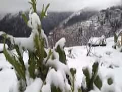 Visuals of heavy snowfall in North India | Master Stroke 