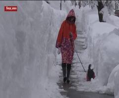 बर्फीली हवाओं के सितम के बीच ये दिलकश नजारा देख आप बोल उठेंगे 'वाह'| Snowfall| ABP Ganga 