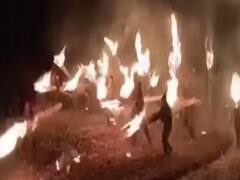 All about Budhi Diwali of Himachal Pradesh