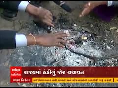 રાજ્યમાં કડકડથી ઠંડીનું જોર યથાવત, 6.6 ડિગ્રી સાથે નલિયા સૌથી ઠંડુ શહેર 