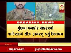 પાકિસ્તાને સીઝ ફાયરનું ઉલ્લંઘન કરી કર્યું ફાયરિંગ, ભારતે બે પાકિસ્તાની સૈનિકને ઠાર માર્યા