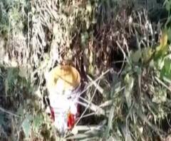 নানুরে জঙ্গল থেকে উদ্ধার ২০টি তাজা বোমা, চাঞ্চল্য