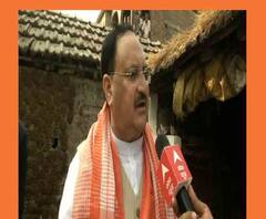 West Bengal Elections 2021: 'মানুষের সঙ্গে অন্যায় করছেন মমতা', এক্সক্লুসিভ সাক্ষাৎকারে মন্তব্য জেপি নাড্ডার