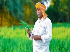 PMFBY को पांच साल हुए पूरे, किसानों से जानिए- योजना से लाभ हुआ या नहीं?