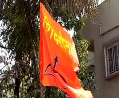 ग्रामपंचायत निवडणुकीत शिवसेनेची अनेक ठिकाणी बाजी, शिवसेनेच्या वाघाची डरकाळी!