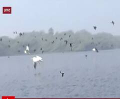 हजारों किलोमीटर दूर से Keetham lake पहुंचे हैं ये अनोखे परिंदे | Satte Pe Satta 