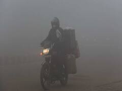 દિલ્હી, પંજાબ, હરિયાણા અને ઉત્તર પ્રદેશમાં ઠંડીનો કહેર, જુઓ વીડિયો