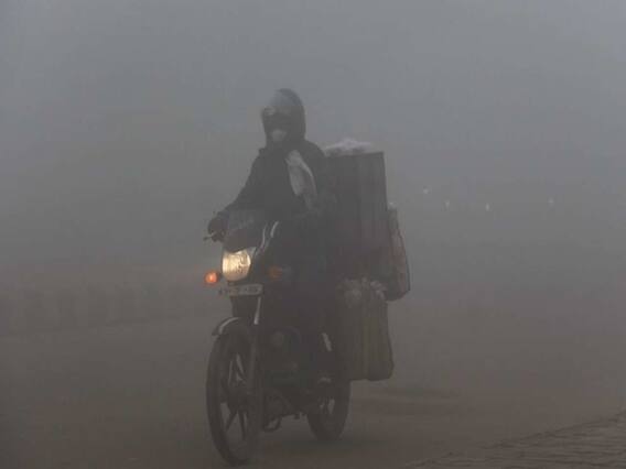 દિલ્હી, પંજાબ, હરિયાણા અને ઉત્તર પ્રદેશમાં ઠંડીનો કહેર, જુઓ વીડિયો