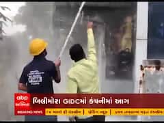 નવસારીના બિલીમોરા GIDCમાં ફાર્મા કંપનીમાં લાગી આગ, જુઓ વીડિયો