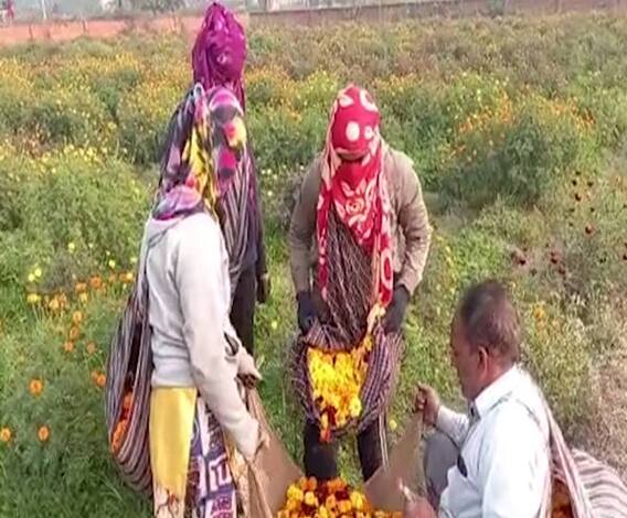 Meerut की इन बेटियों ने कायम की नई मिसाल, जानिए कैसे | Satte Pe Satta | ABP Ganga 